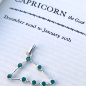Capricorn Constellation Charm/Pendant
